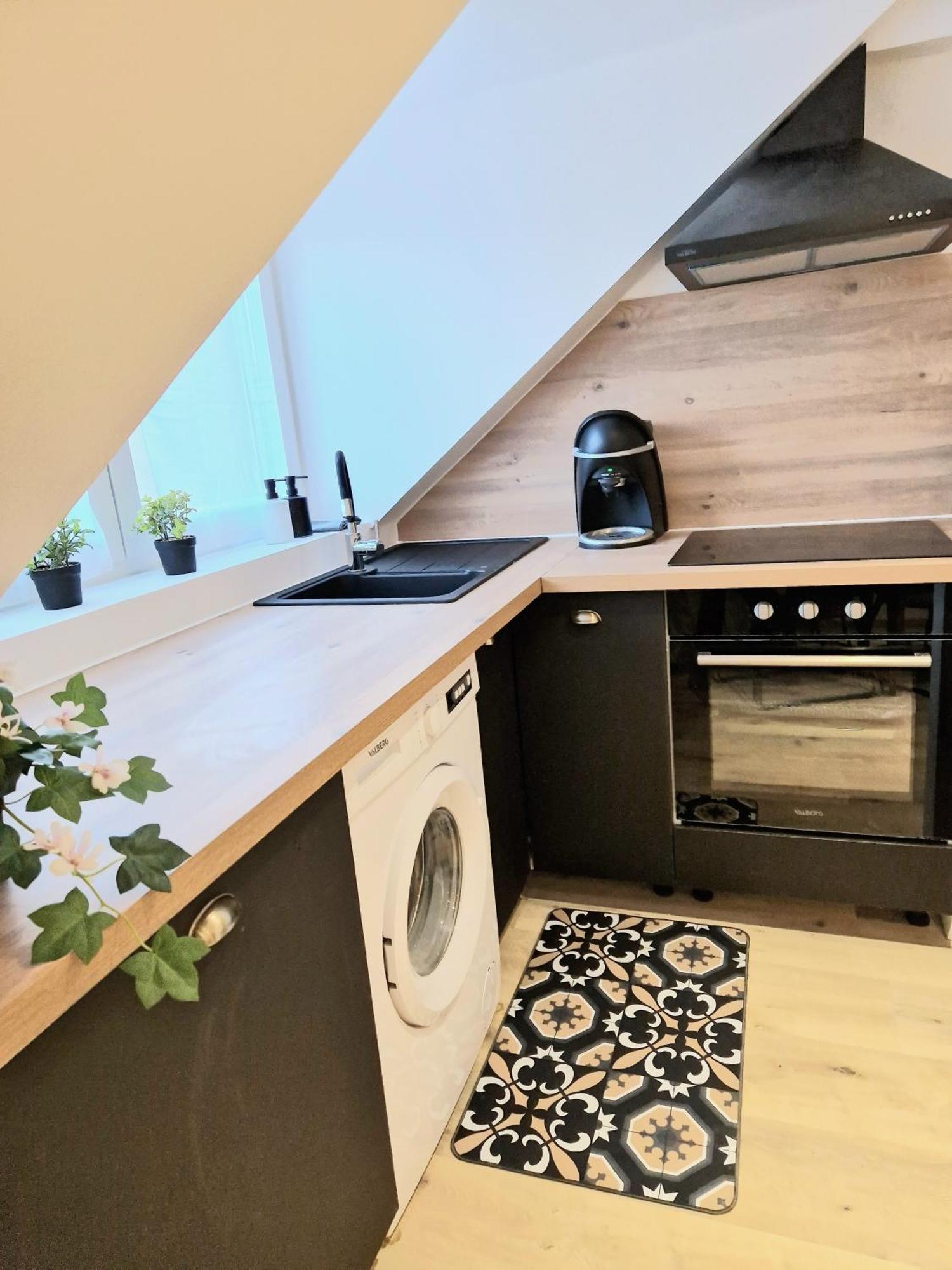 L'Elementaire, Appartement Chic Et Central Mulhouse Luaran gambar